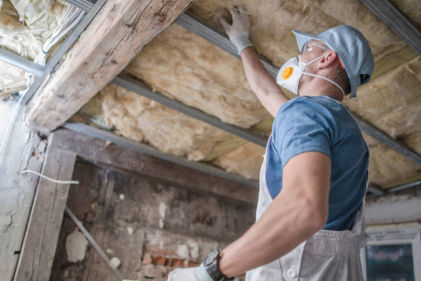 Best Insulation Maintenance and Repair in Catawissa, PA